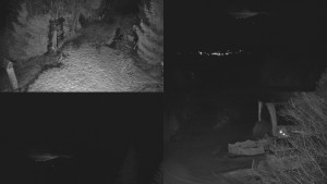 Skiareál Bílá - Sdružený snímek - 24.2.2026 v 01:01 Skiareál Bílá - Sdružený snímek - 24.2.2026 v 01:01