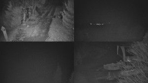 Skiareál Bílá - Sdružený snímek - 16.3.2026 v 02:31 Skiareál Bílá - Sdružený snímek - 16.3.2026 v 02:31