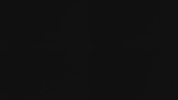 Sdružený snímek