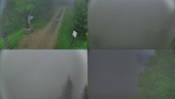 Sdružený snímek