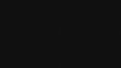 Sdružený snímek
