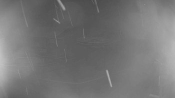 Snímek 17.11.2025 v 18:55