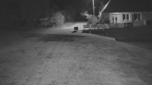 TJ Němčičky - Otočná kamera  - 5.11.2024 v 02:00 TJ Němčičky - Otočná kamera  - 5.11.2024 v 02:00