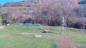 TJ Němčičky - Otočná kamera  - 5.11.2024 v 11:00 TJ Němčičky - Otočná kamera  - 5.11.2024 v 11:00