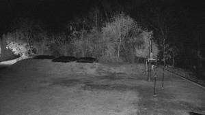 TJ Němčičky - Otočná kamera  - 5.11.2024 v 20:00 TJ Němčičky - Otočná kamera  - 5.11.2024 v 20:00