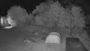 TJ Němčičky - Otočná kamera - 14.6.2025 v 01:00 TJ Němčičky - Otočná kamera - 14.6.2025 v 01:00