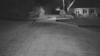 Snímek    29.10.2025 v 01:05