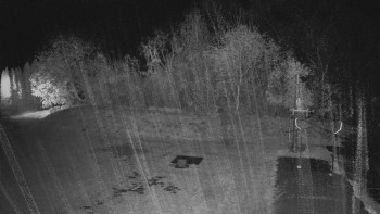 Snímek    2.11.2025 v 21:45