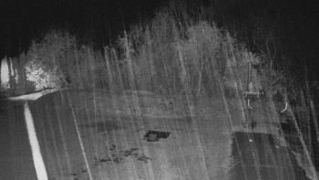 Snímek    2.11.2025 v 21:55