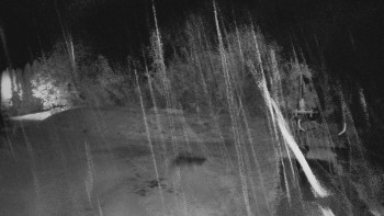 Snímek    2.11.2025 v 23:45