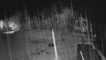 Snímek    3.11.2025 v 05:25