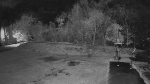 TJ Němčičky - Otočná kamera  - 4.11.2025 v 00:55 TJ Němčičky - Otočná kamera  - 4.11.2025 v 00:55