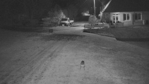 TJ Němčičky - Otočná kamera - 4.11.2025 v 03:35 TJ Němčičky - Otočná kamera - 4.11.2025 v 03:35