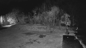 TJ Němčičky - Otočná kamera - 4.11.2025 v 03:50 TJ Němčičky - Otočná kamera - 4.11.2025 v 03:50