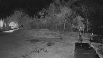 Snímek 7.11.2025 v 02:20