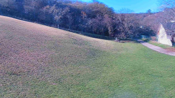 Snímek 7.11.2025 v 11:50