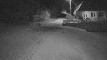 Snímek 7.11.2025 v 17:30