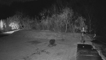 Snímek 7.11.2025 v 17:45