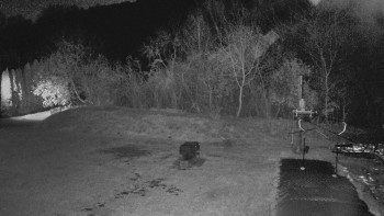 Snímek 7.11.2025 v 19:20