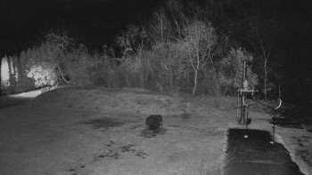 Snímek 7.11.2025 v 23:00