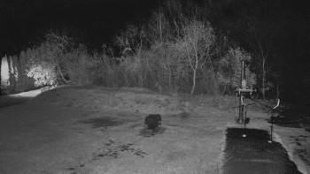 Snímek 7.11.2025 v 23:30