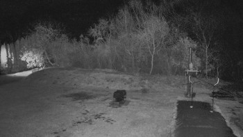 Snímek 7.11.2025 v 23:55