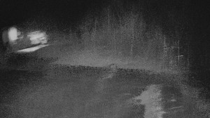 TJ Němčičky - Otočná kamera - 13.11.2025 v 02:00 TJ Němčičky - Otočná kamera - 13.11.2025 v 02:00