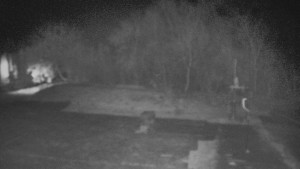 TJ Němčičky - Otočná kamera - 13.11.2025 v 02:45 TJ Němčičky - Otočná kamera - 13.11.2025 v 02:45