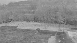 TJ Němčičky - Otočná kamera - 13.11.2025 v 07:00 TJ Němčičky - Otočná kamera - 13.11.2025 v 07:00