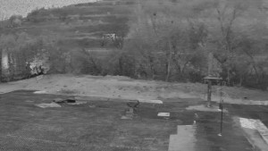 TJ Němčičky - Otočná kamera - 13.11.2025 v 16:30 TJ Němčičky - Otočná kamera - 13.11.2025 v 16:30