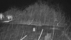 TJ Němčičky - Otočná kamera - 15.11.2025 v 00:20 TJ Němčičky - Otočná kamera - 15.11.2025 v 00:20