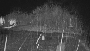 TJ Němčičky - Otočná kamera - 15.11.2025 v 01:50 TJ Němčičky - Otočná kamera - 15.11.2025 v 01:50