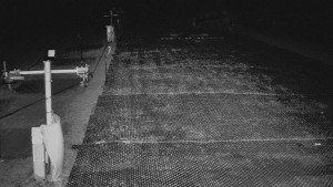 TJ Němčičky - Otočná kamera - 21.11.2025 v 02:00 TJ Němčičky - Otočná kamera - 21.11.2025 v 02:00