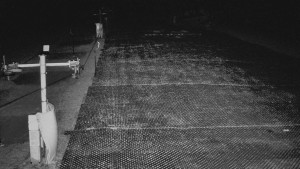 TJ Němčičky - Otočná kamera - 21.11.2025 v 02:15 TJ Němčičky - Otočná kamera - 21.11.2025 v 02:15