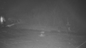 TJ Němčičky - Otočná kamera - 1.12.2025 v 00:30 TJ Němčičky - Otočná kamera - 1.12.2025 v 00:30