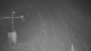 TJ Němčičky - Otočná kamera - 1.12.2025 v 00:35 TJ Němčičky - Otočná kamera - 1.12.2025 v 00:35