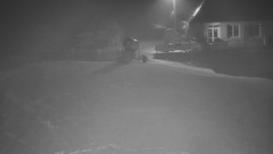 TJ Němčičky - Otočná kamera - 1.12.2025 v 02:30 TJ Němčičky - Otočná kamera - 1.12.2025 v 02:30