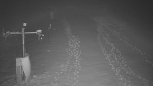 TJ Němčičky - Otočná kamera - 1.12.2025 v 05:20 TJ Němčičky - Otočná kamera - 1.12.2025 v 05:20