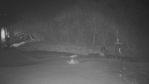 TJ Němčičky - Otočná kamera - 1.12.2025 v 05:25 TJ Němčičky - Otočná kamera - 1.12.2025 v 05:25