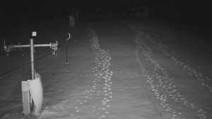 TJ Němčičky - Otočná kamera - 3.12.2025 v 04:00 TJ Němčičky - Otočná kamera - 3.12.2025 v 04:00