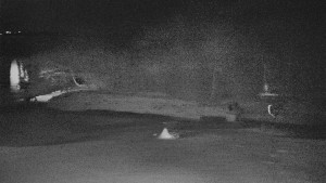 TJ Němčičky - Otočná kamera - 3.12.2025 v 04:10 TJ Němčičky - Otočná kamera - 3.12.2025 v 04:10