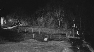 TJ Němčičky - Otočná kamera - 15.12.2025 v 00:00 TJ Němčičky - Otočná kamera - 15.12.2025 v 00:00