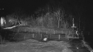 TJ Němčičky - Otočná kamera - 15.12.2025 v 01:30 TJ Němčičky - Otočná kamera - 15.12.2025 v 01:30