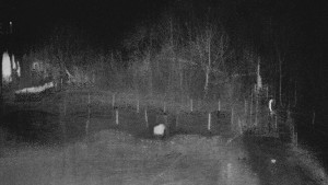 TJ Němčičky - Otočná kamera - 15.12.2025 v 02:50 TJ Němčičky - Otočná kamera - 15.12.2025 v 02:50