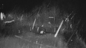 TJ Němčičky - Otočná kamera - 15.12.2025 v 05:50 TJ Němčičky - Otočná kamera - 15.12.2025 v 05:50