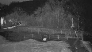 TJ Němčičky - Otočná kamera - 15.12.2025 v 06:50 TJ Němčičky - Otočná kamera - 15.12.2025 v 06:50