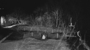 TJ Němčičky - Otočná kamera - 15.12.2025 v 18:45 TJ Němčičky - Otočná kamera - 15.12.2025 v 18:45