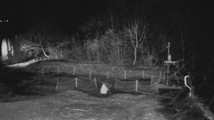 TJ Němčičky - Otočná kamera - 15.12.2025 v 19:50 TJ Němčičky - Otočná kamera - 15.12.2025 v 19:50