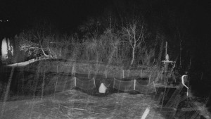 TJ Němčičky - Otočná kamera - 15.12.2025 v 20:20 TJ Němčičky - Otočná kamera - 15.12.2025 v 20:20