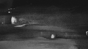 TJ Němčičky - Otočná kamera - 15.12.2025 v 22:00 TJ Němčičky - Otočná kamera - 15.12.2025 v 22:00